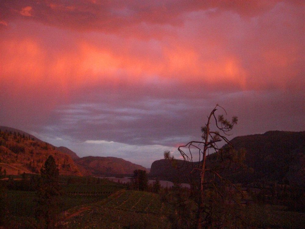 Bighorn Ridge Guesthouse Okanagan Falls Экстерьер фото
