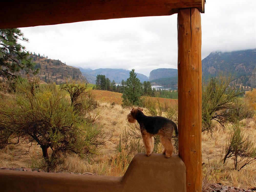 Bighorn Ridge Guesthouse Okanagan Falls Экстерьер фото