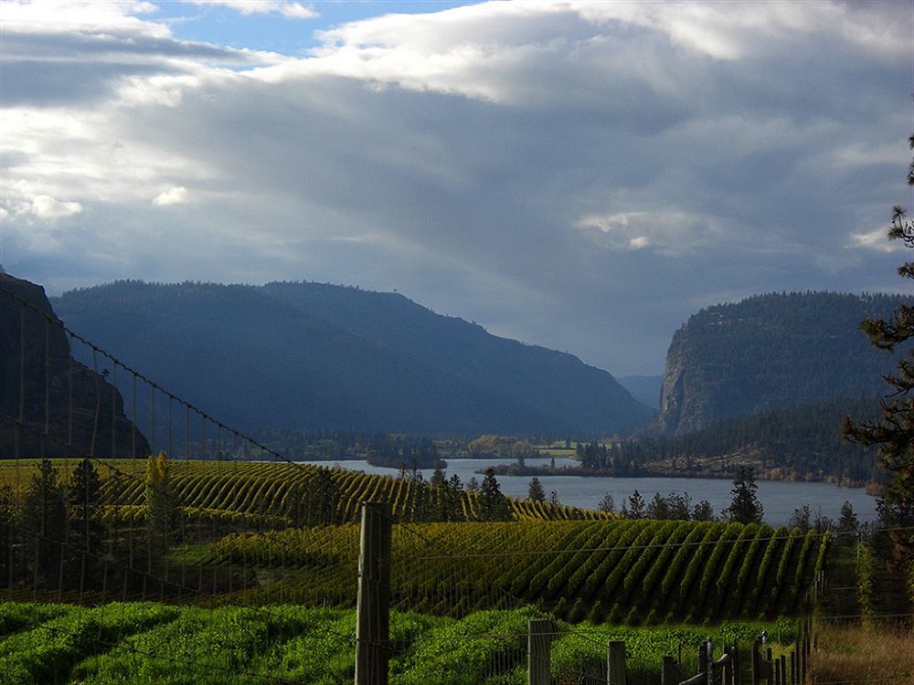 Bighorn Ridge Guesthouse Okanagan Falls Экстерьер фото
