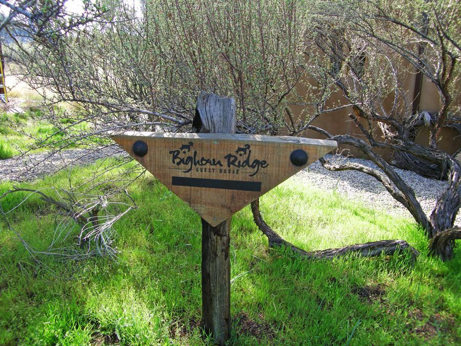 Bighorn Ridge Guesthouse Okanagan Falls Экстерьер фото
